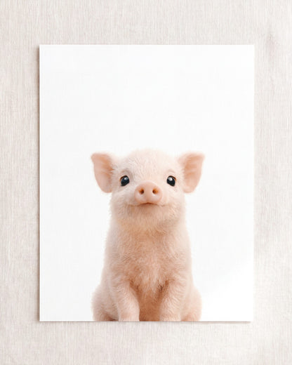 The Baby Animals 2026 Collection