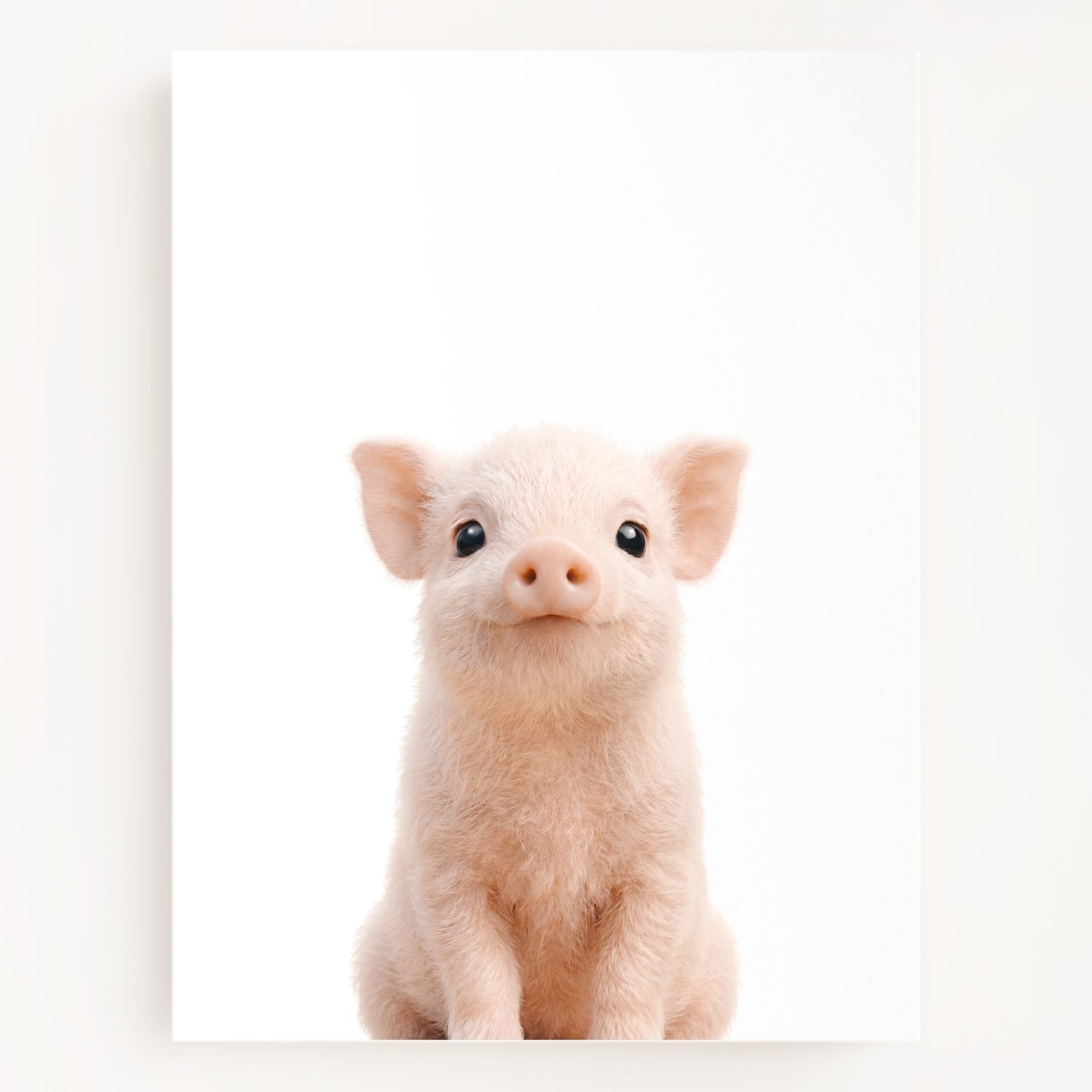 The Baby Animals 2026 Collection