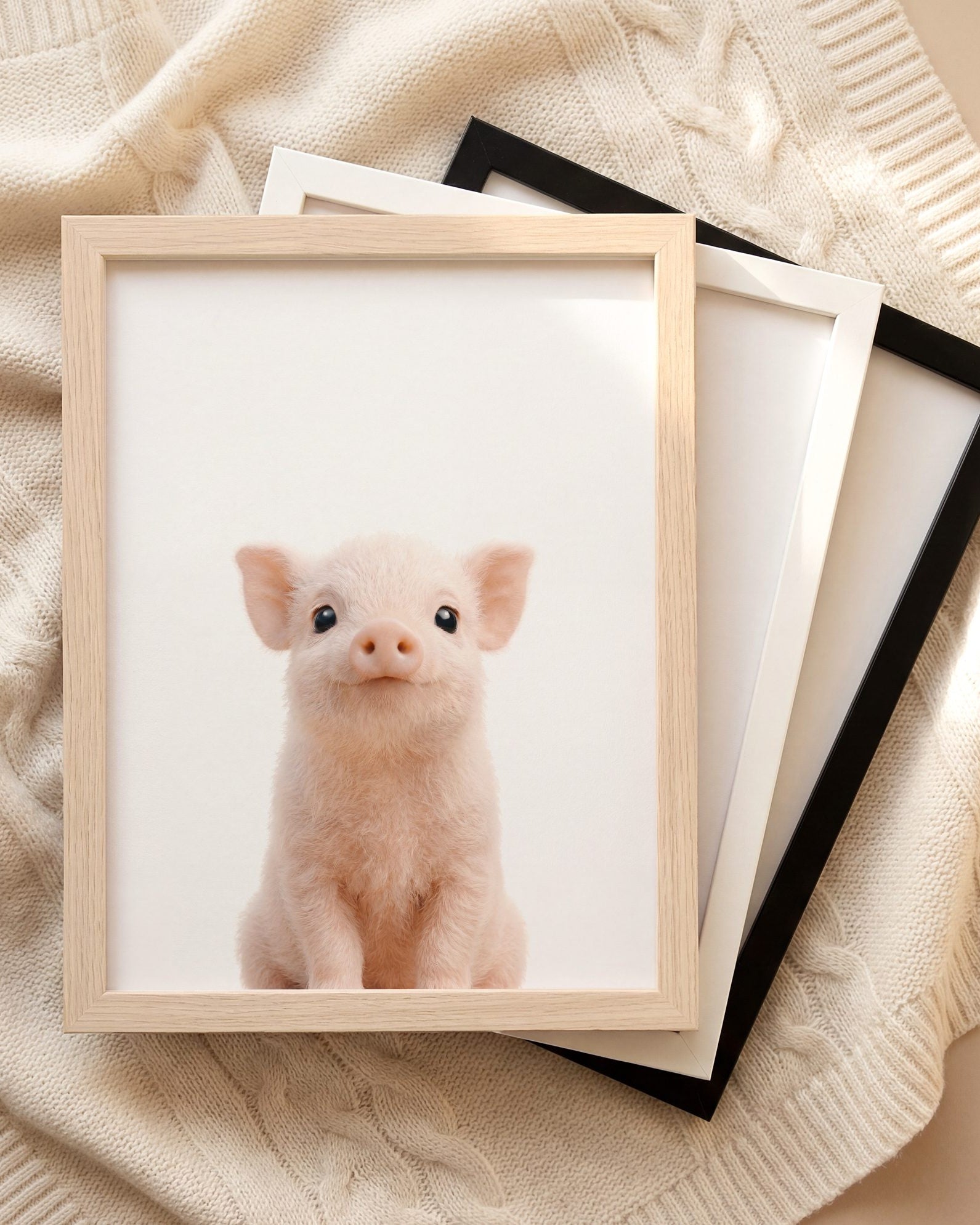 The Baby Animals 2026 Collection