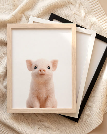 The Baby Animals 2026 Collection