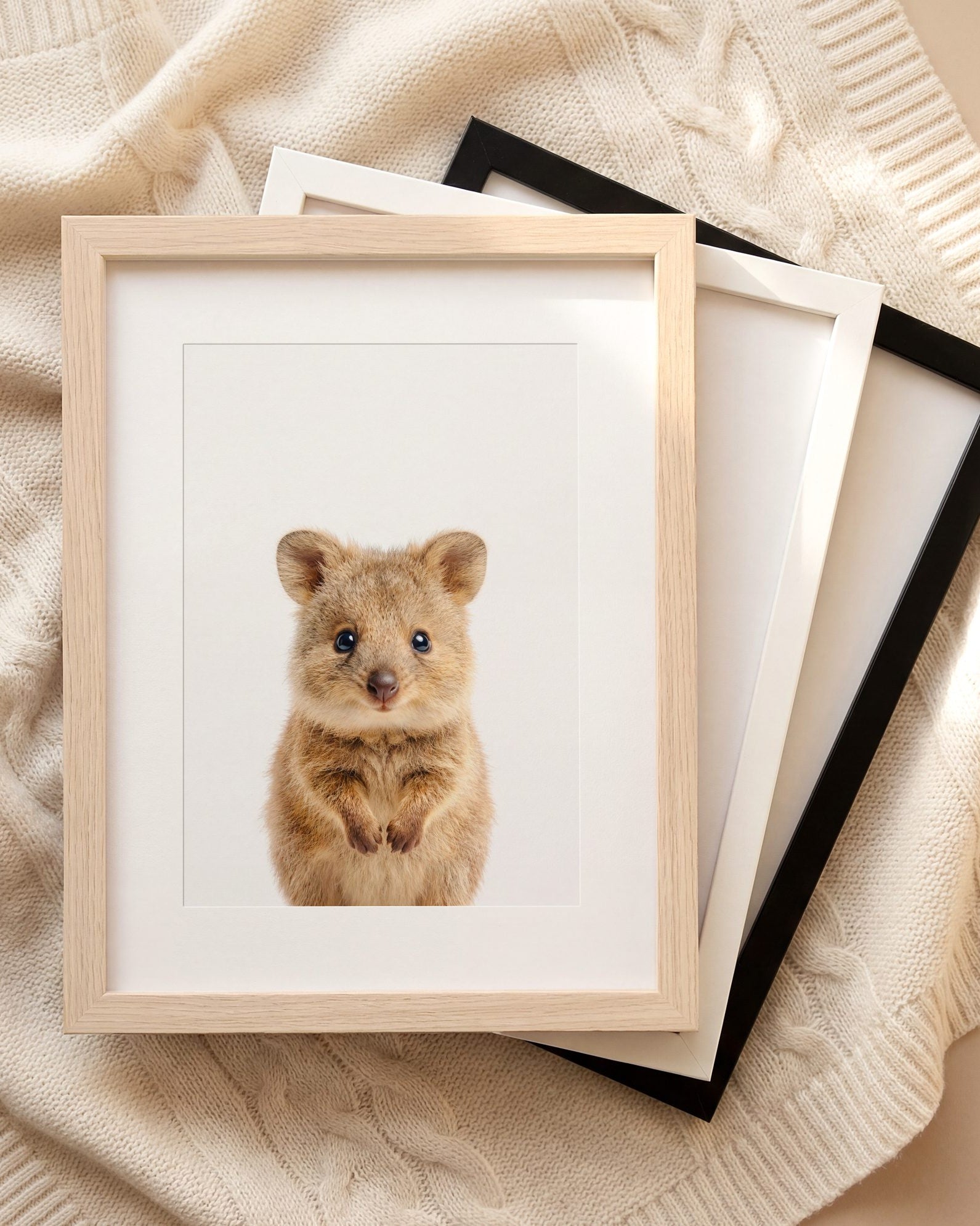 The Baby Animals 2026 Collection