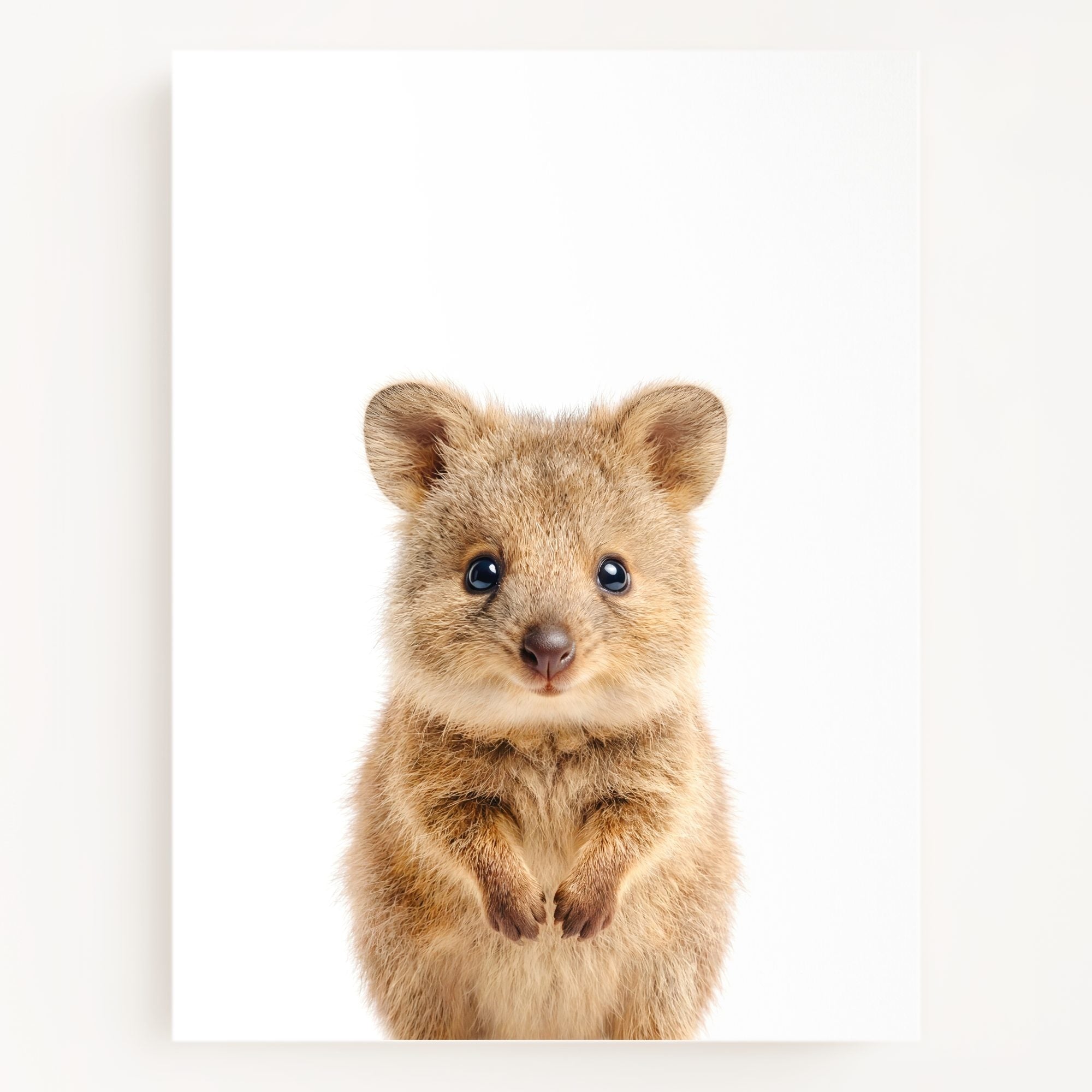 The Baby Animals 2026 Collection