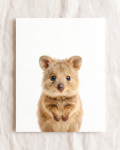 The Baby Animals 2026 Collection