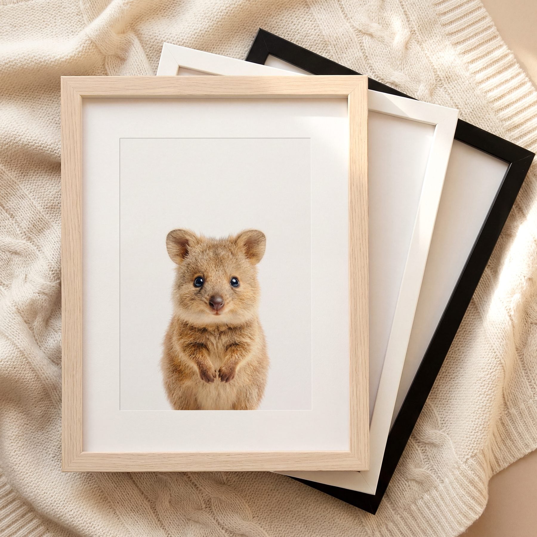 The Baby Animals 2026 Collection