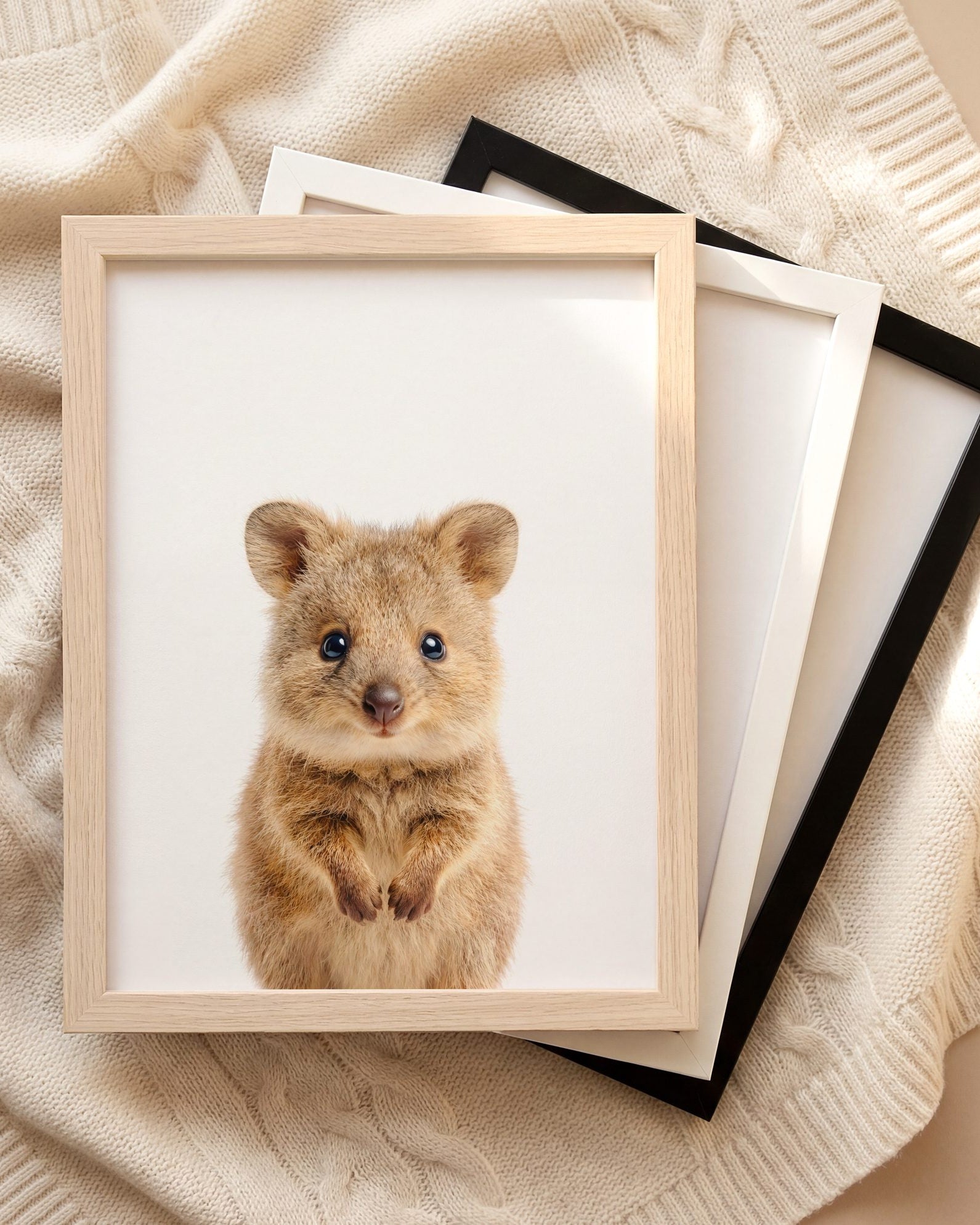 The Baby Animals 2026 Collection
