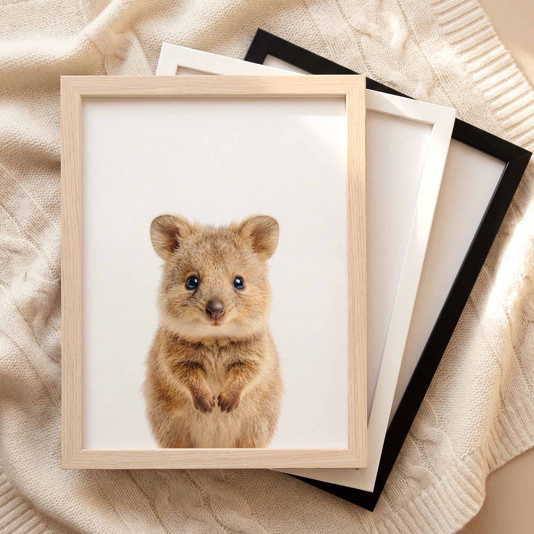 The Baby Animals 2026 Collection