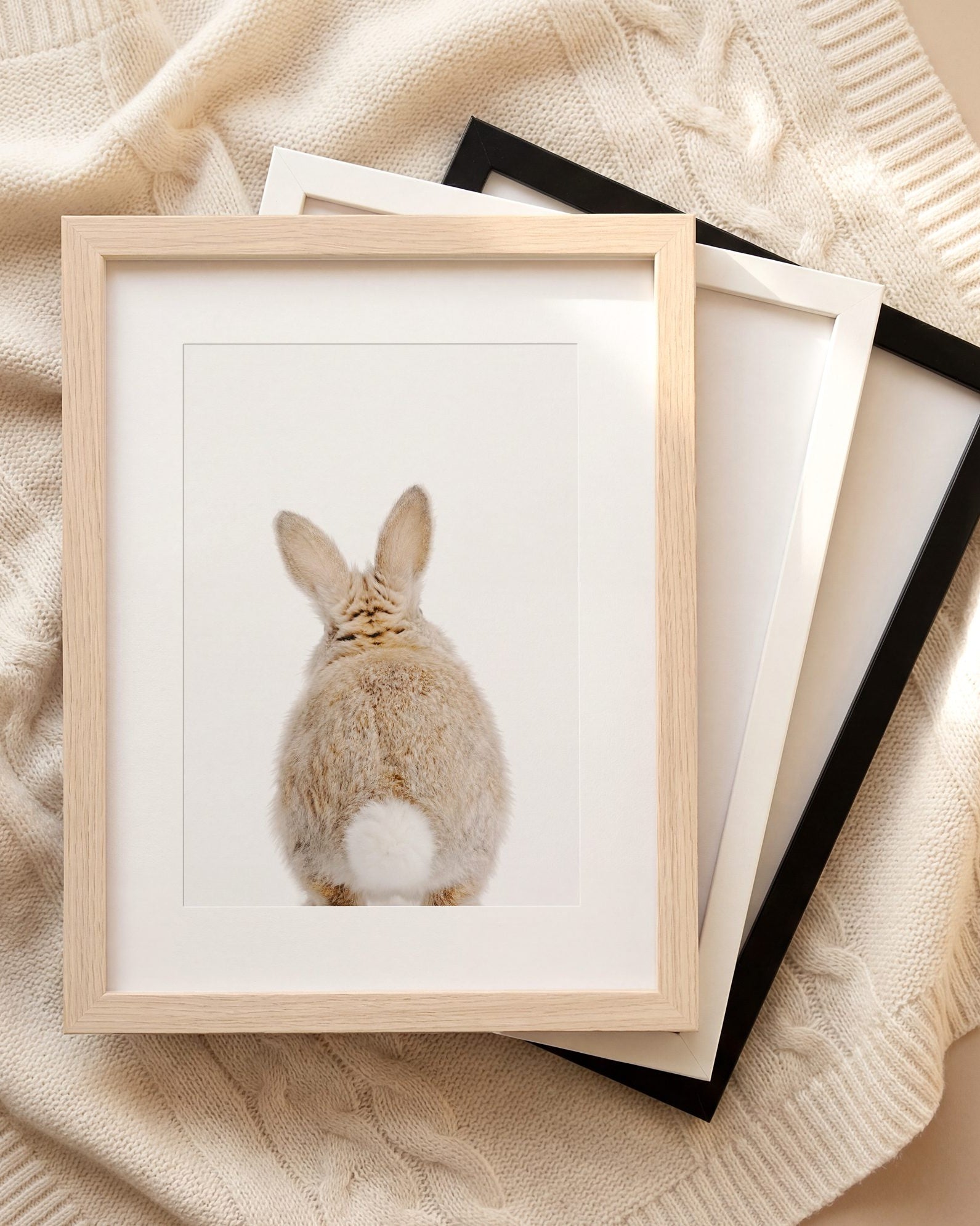 The Baby Animals 2026 Collection