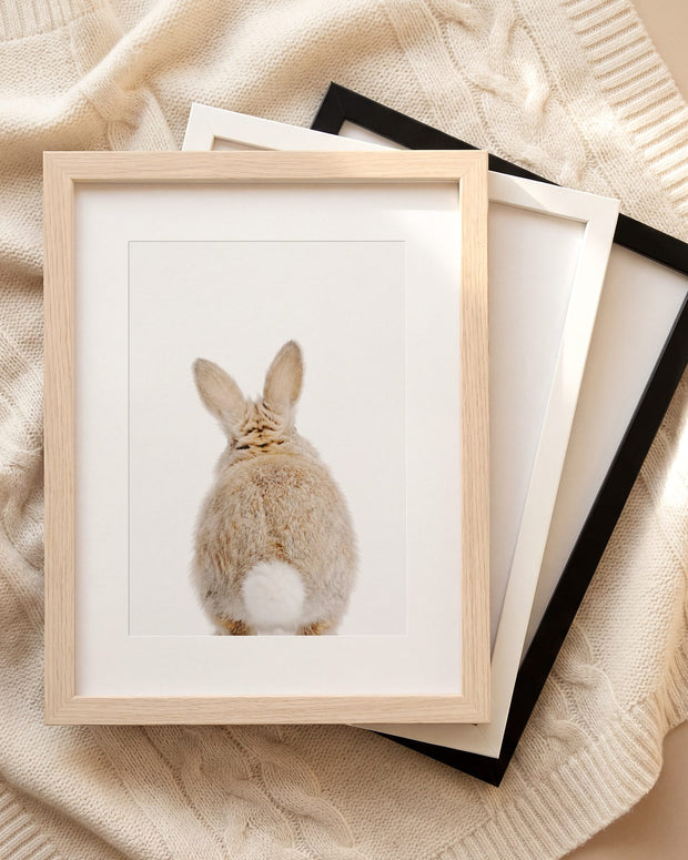 The Baby Animals 2026 Collection