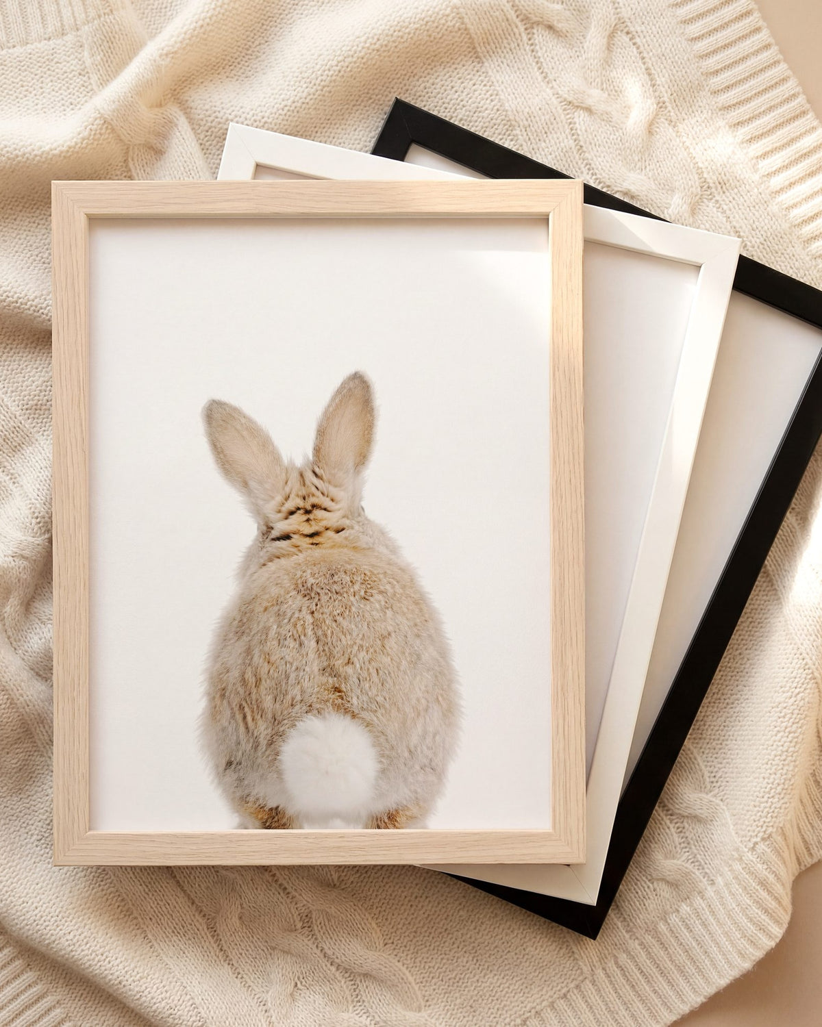 The Baby Animals 2026 Collection