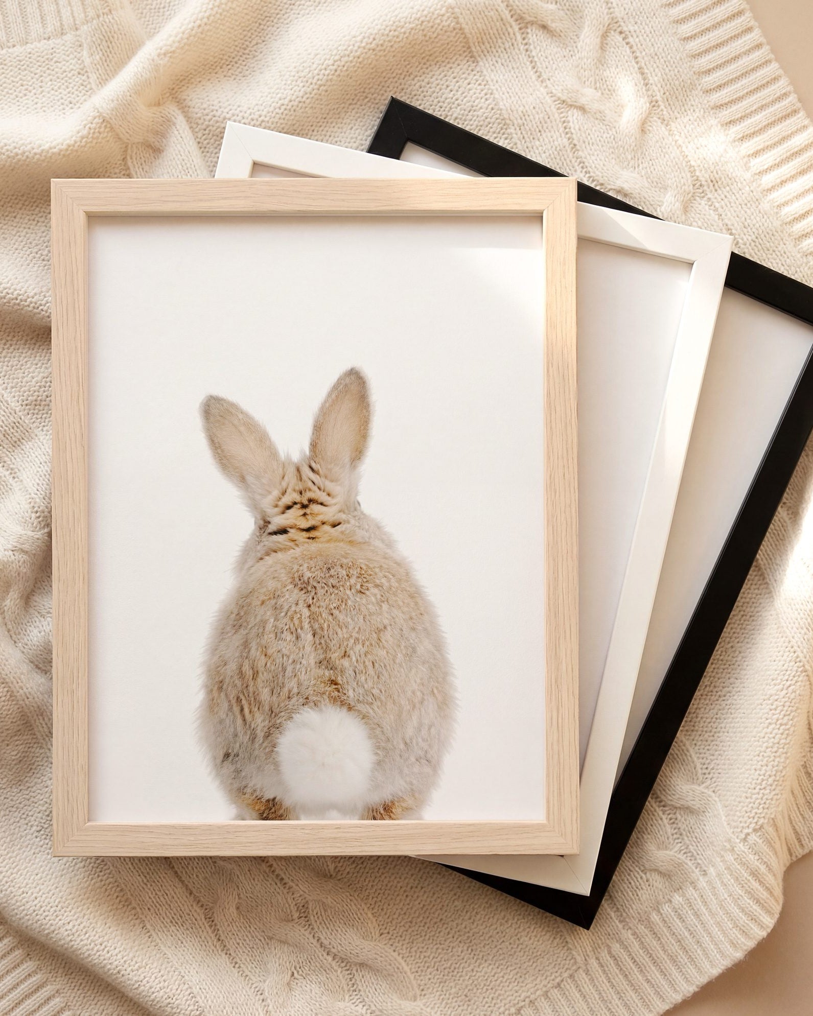 The Baby Animals 2026 Collection