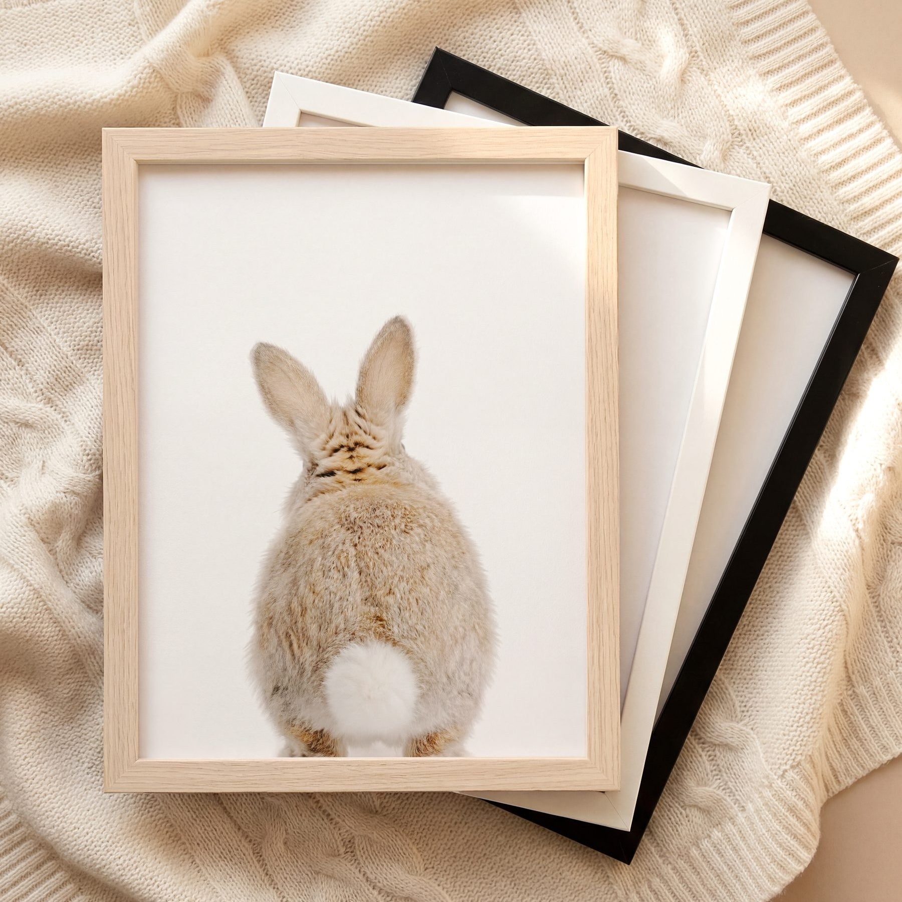 The Baby Animals 2026 Collection