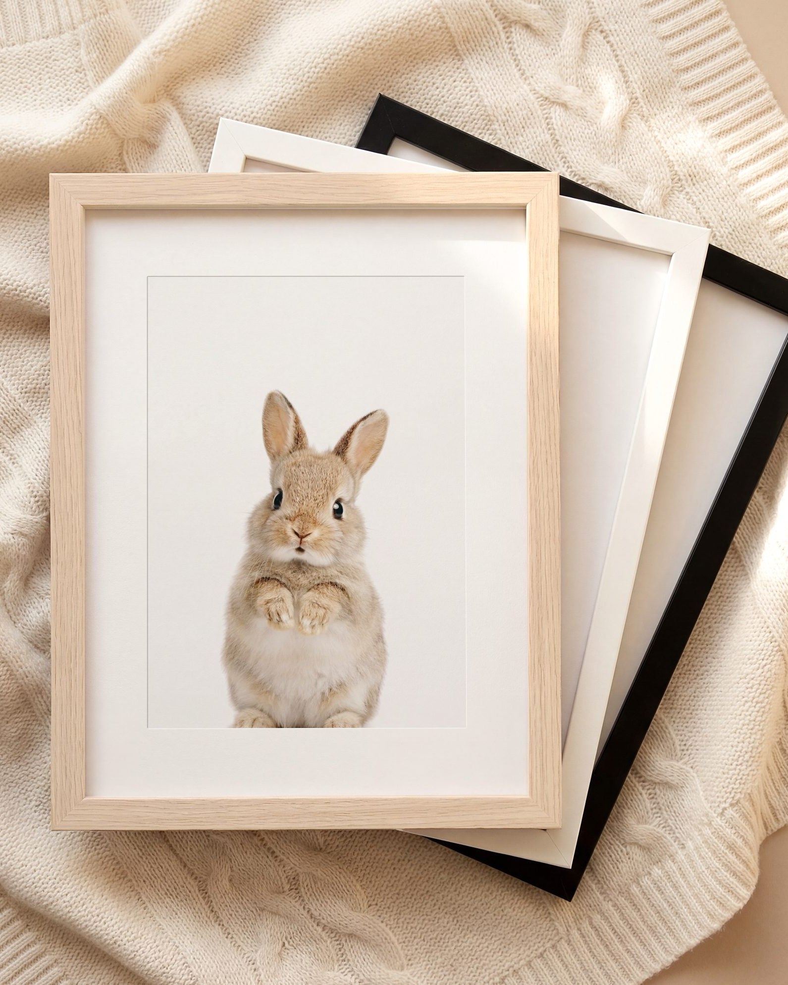 The Baby Animals 2026 Collection