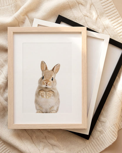 The Baby Animals 2026 Collection