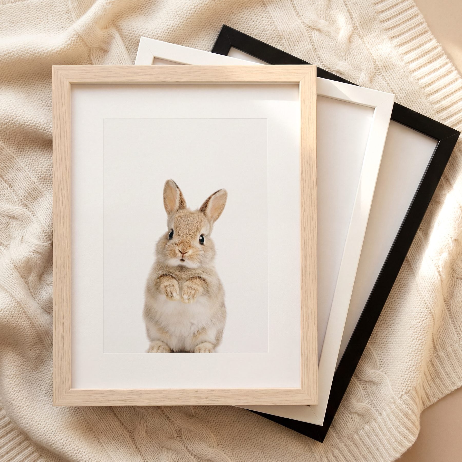 The Baby Animals 2026 Collection