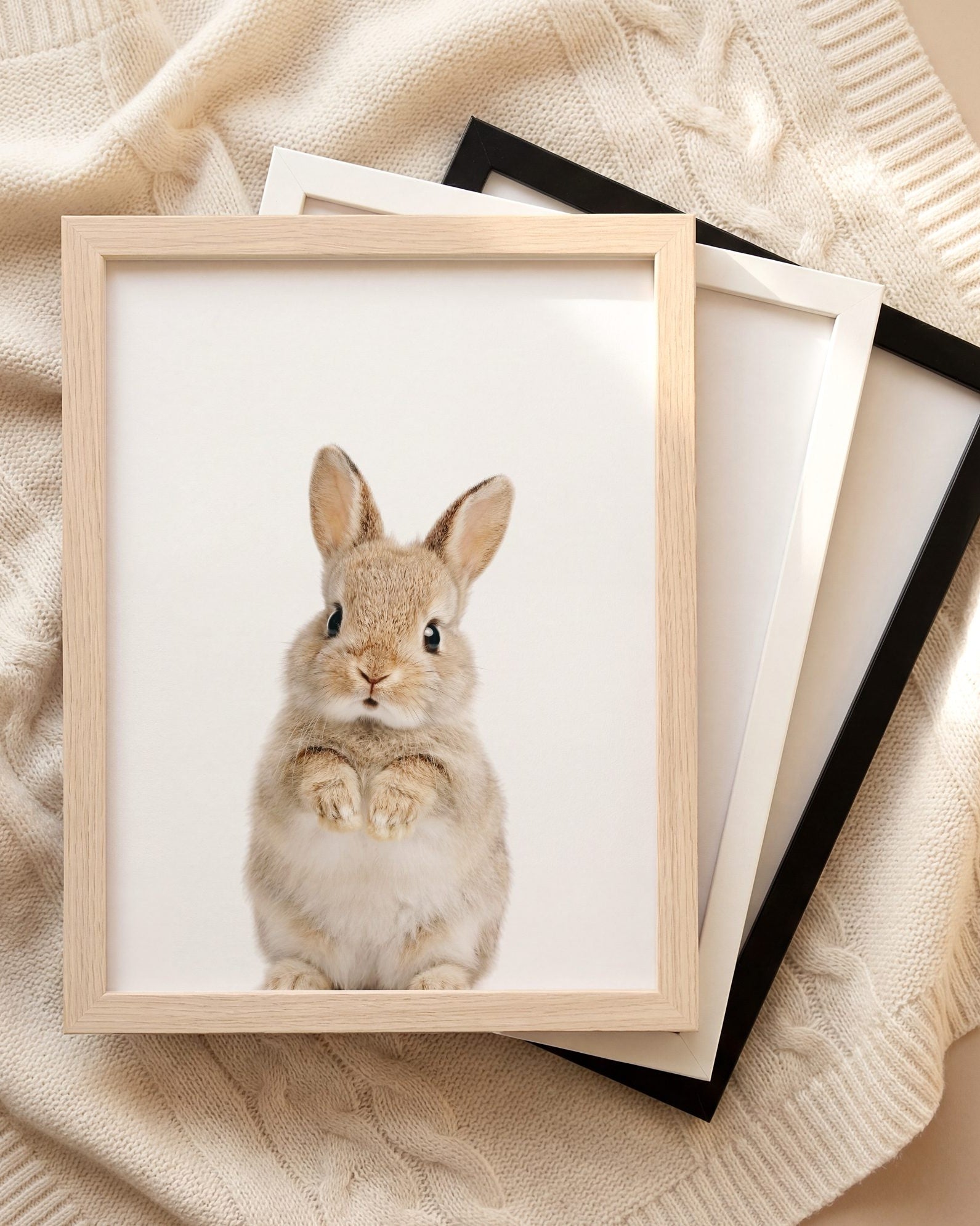 The Baby Animals 2026 Collection