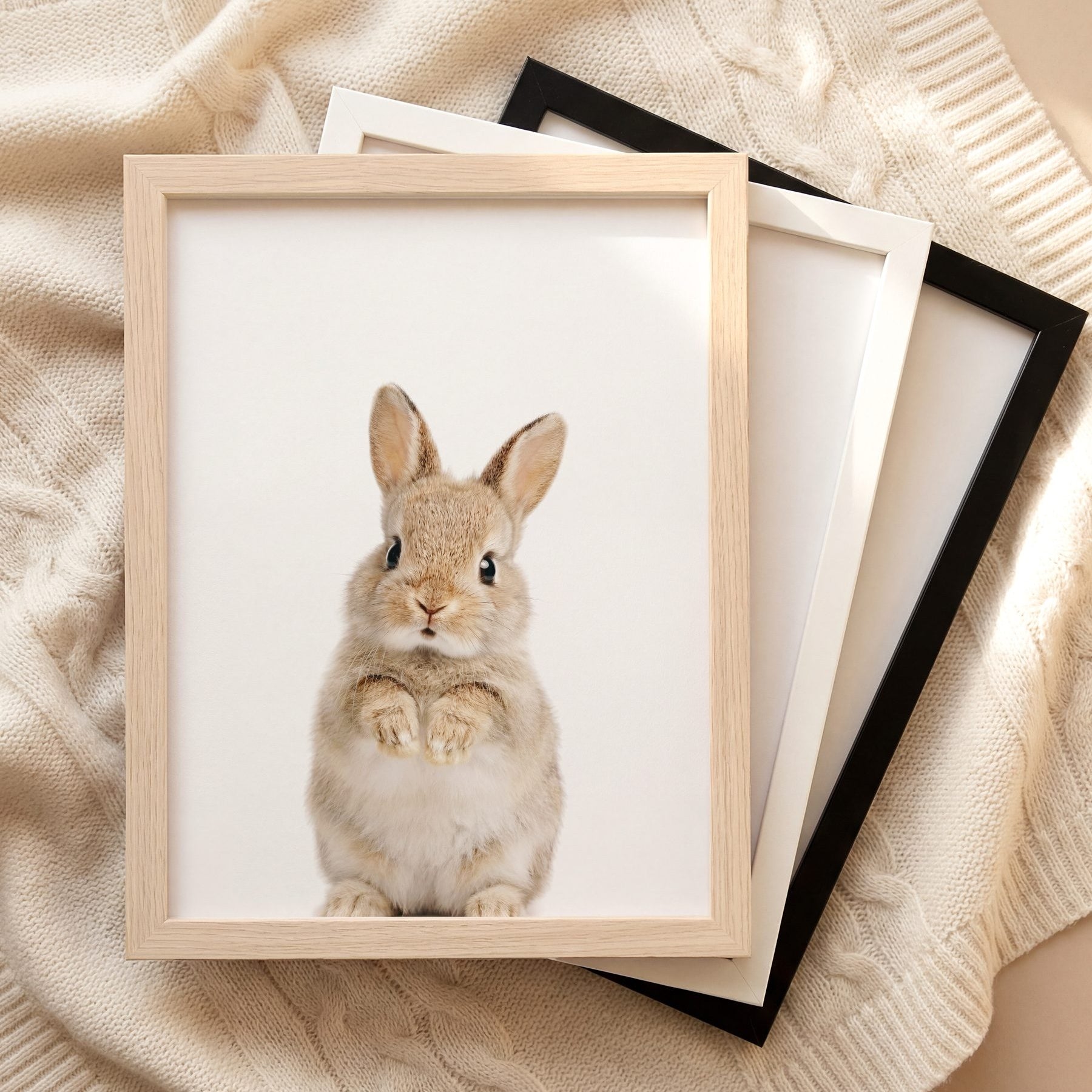 The Baby Animals 2026 Collection