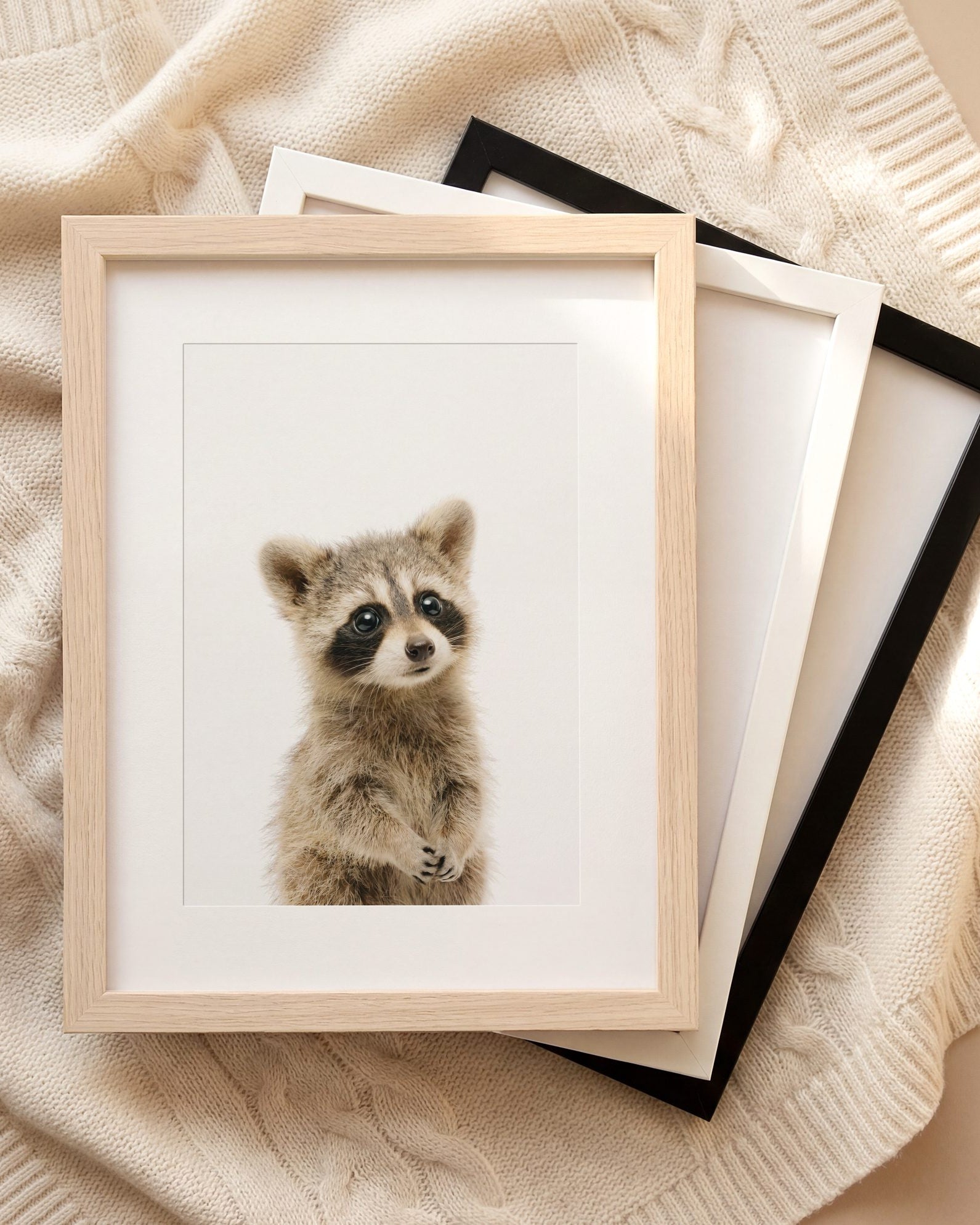 The Baby Animals 2026 Collection
