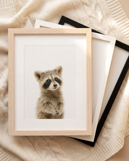 The Baby Animals 2026 Collection