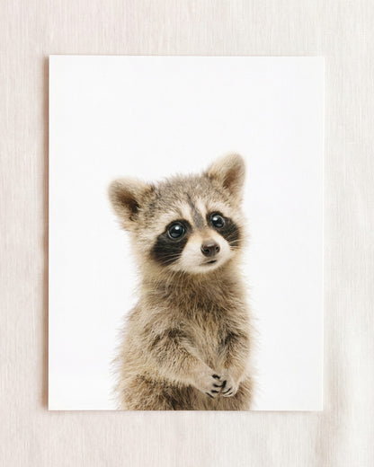 The Baby Animals 2026 Collection