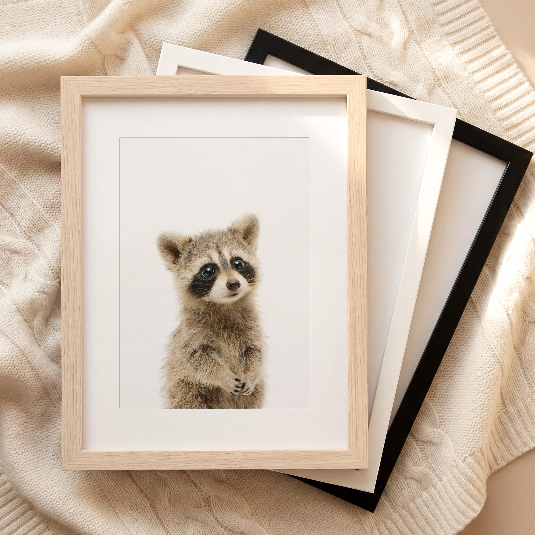 The Baby Animals 2026 Collection
