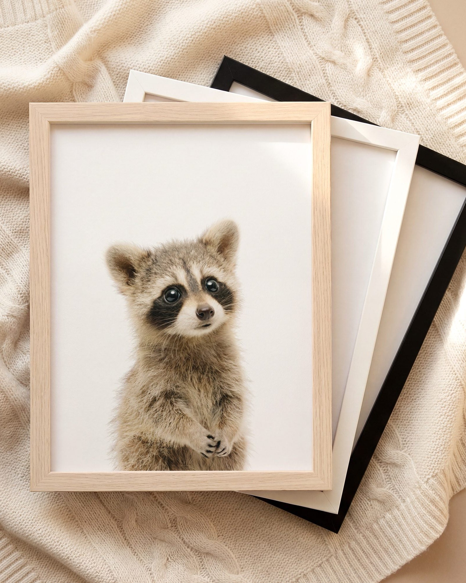 The Baby Animals 2026 Collection
