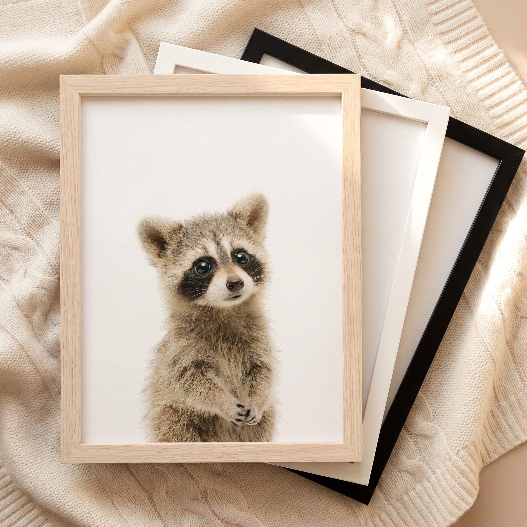 The Baby Animals 2026 Collection