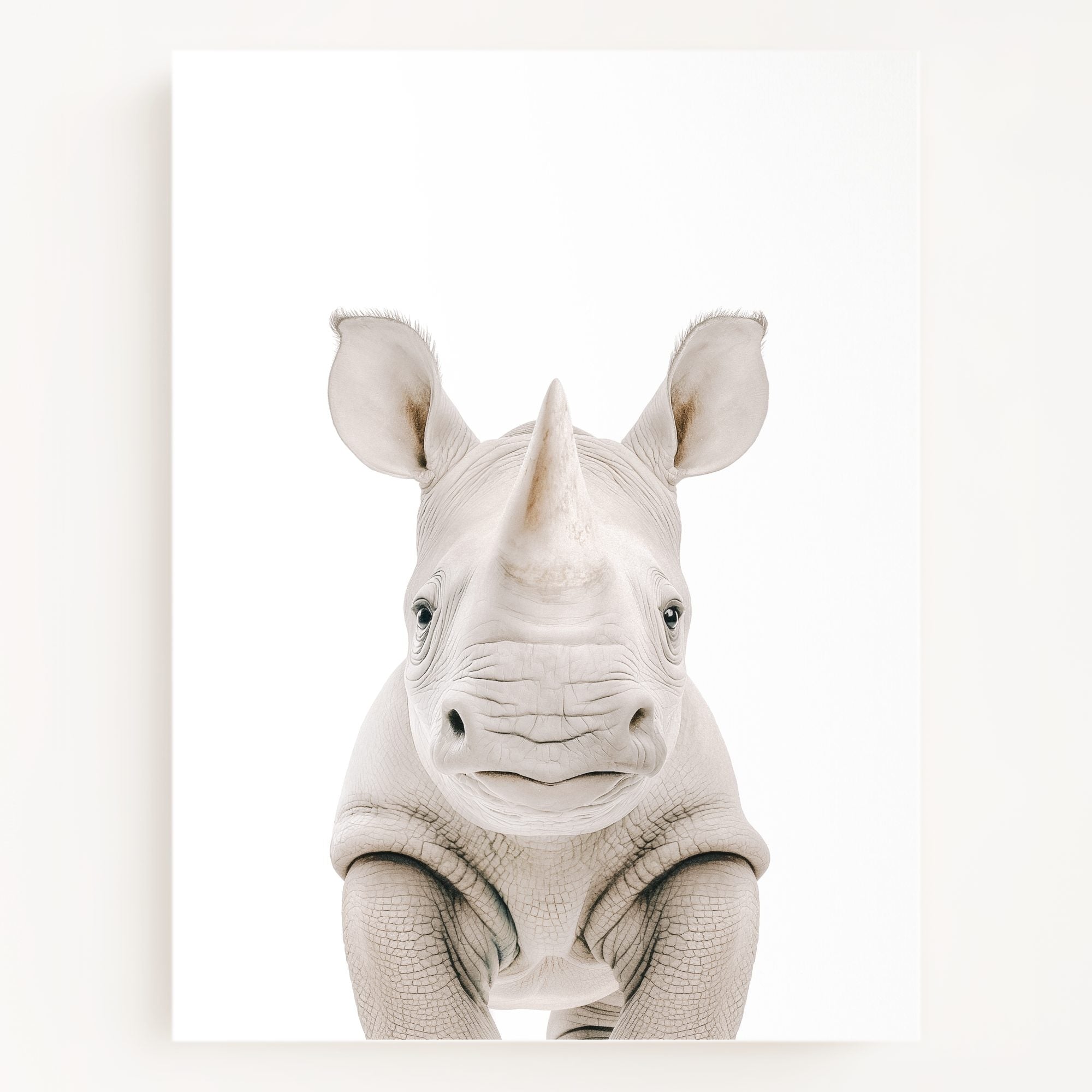 The Baby Animals 2026 Collection