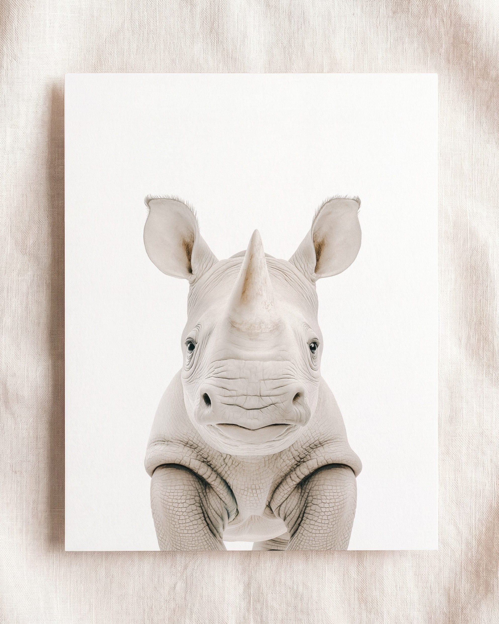 The Baby Animals 2026 Collection