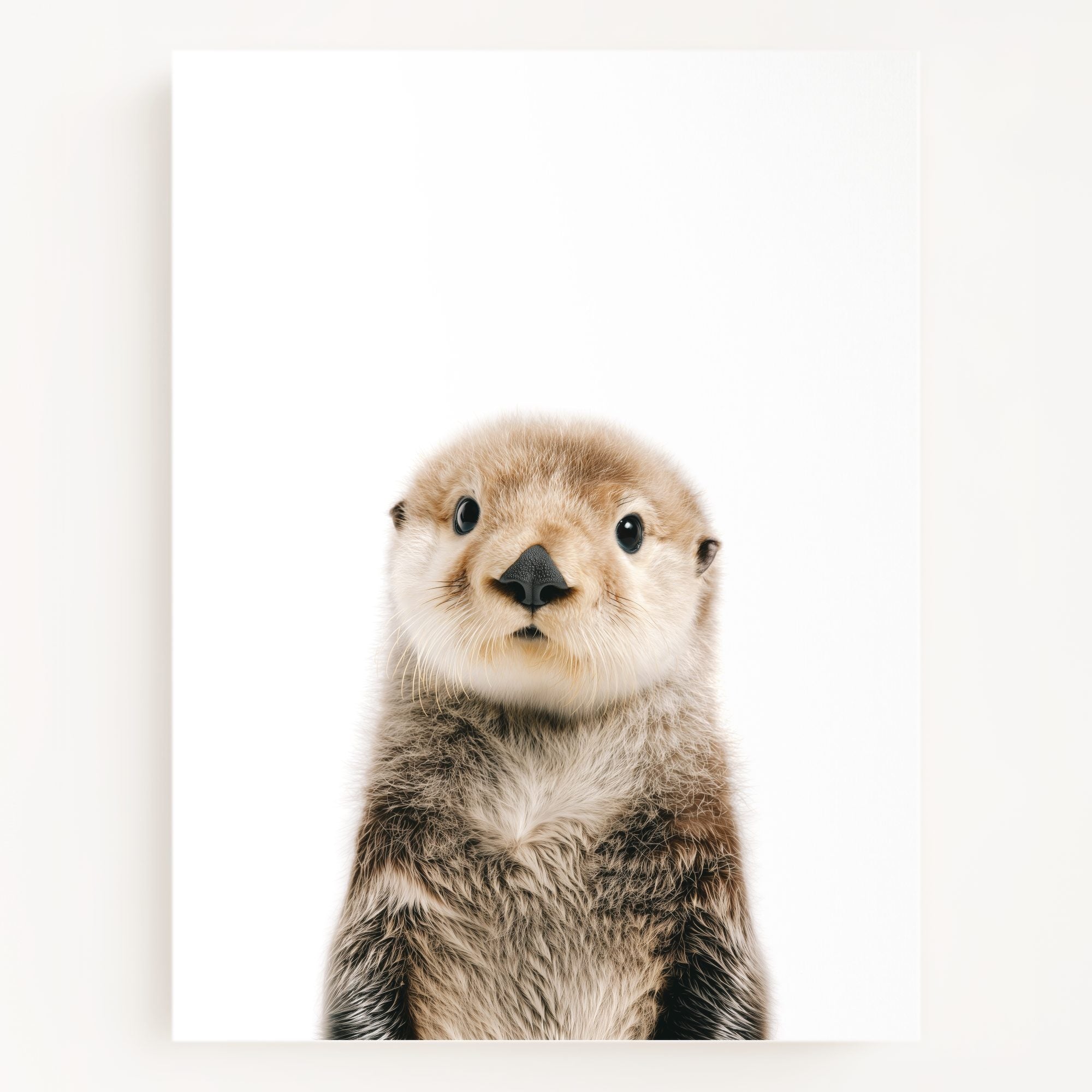 The Baby Animals 2026 Collection