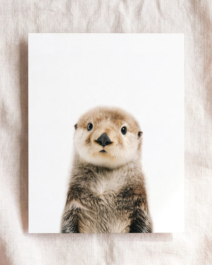 The Baby Animals 2026 Collection