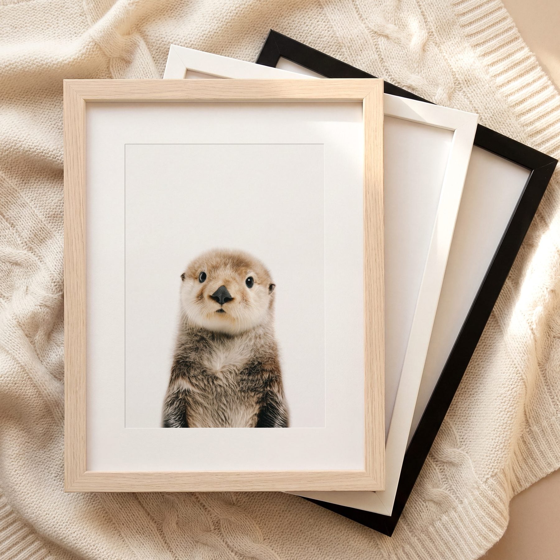 The Baby Animals 2026 Collection