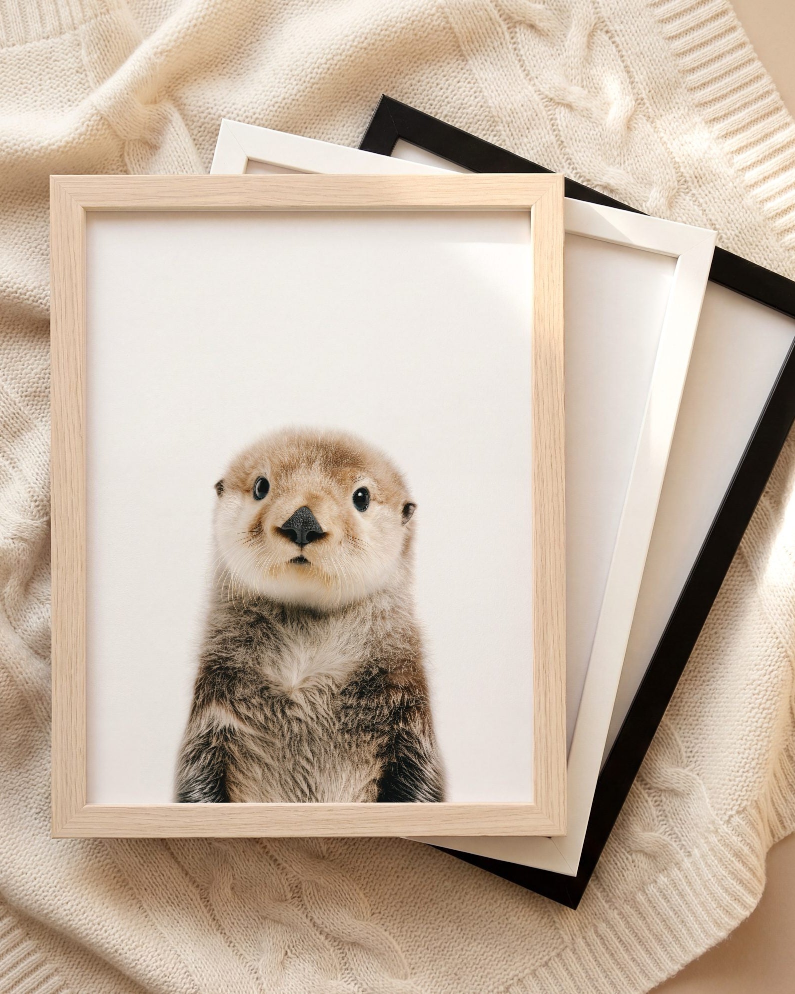 The Baby Animals 2026 Collection