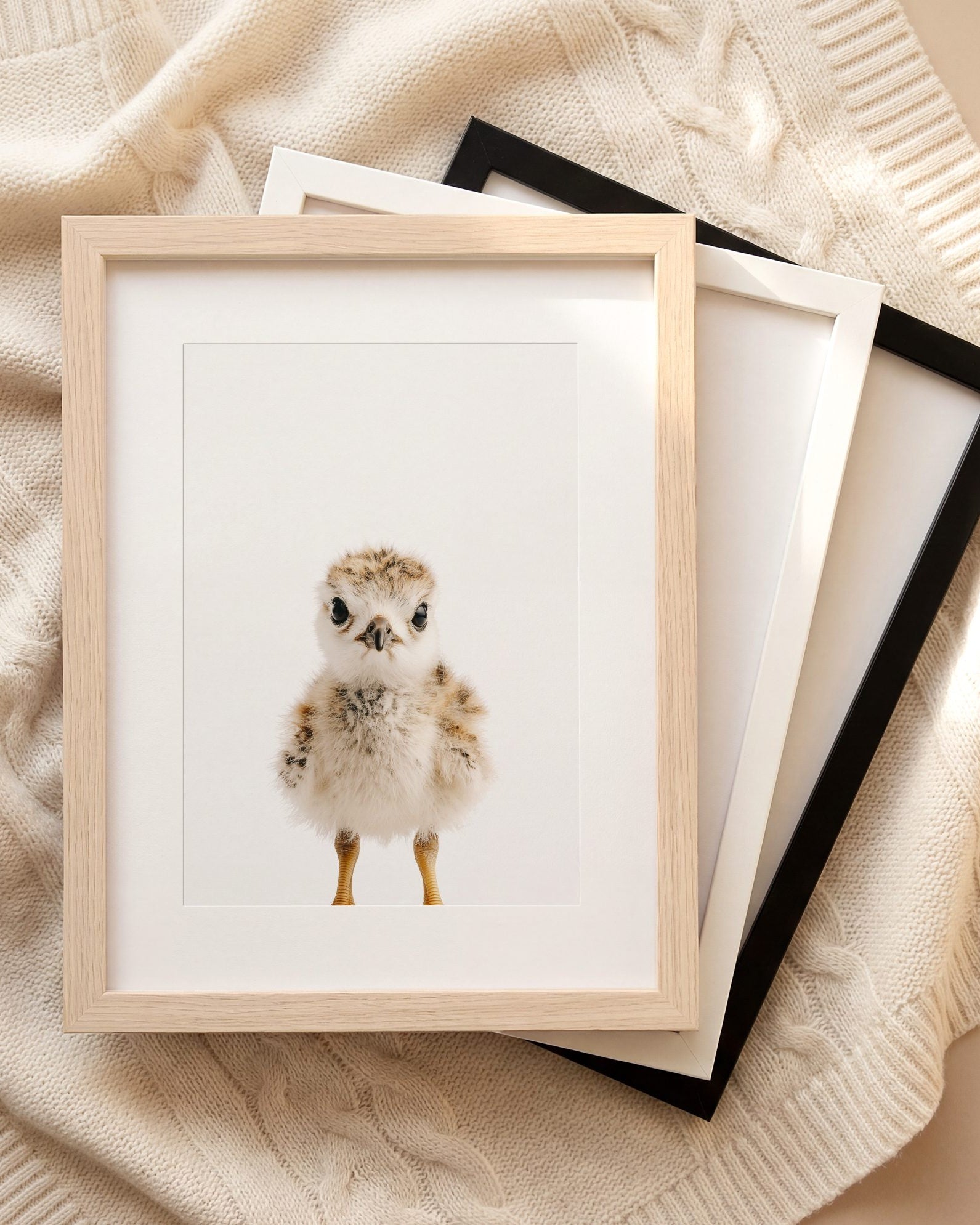 The Baby Animals 2026 Collection
