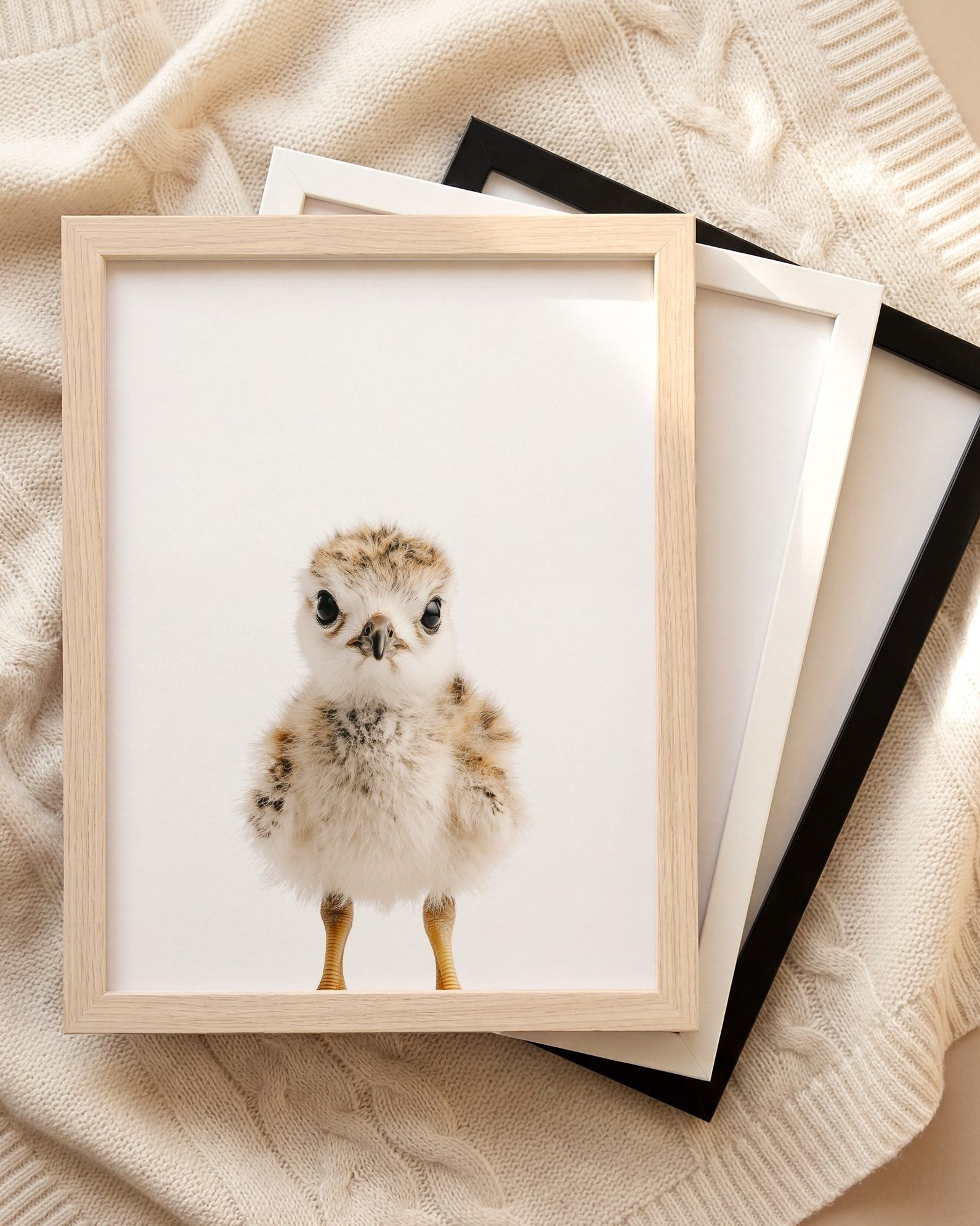 The Baby Animals 2026 Collection