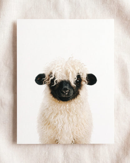 The Baby Animals 2026 Collection