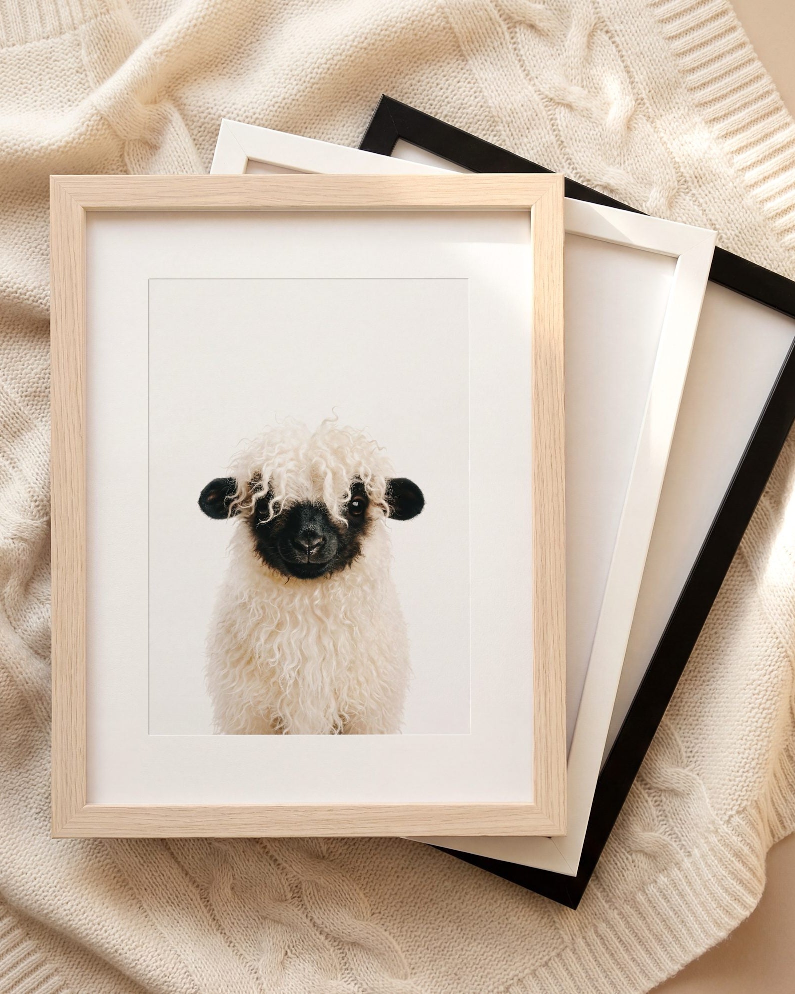 The Baby Animals 2026 Collection