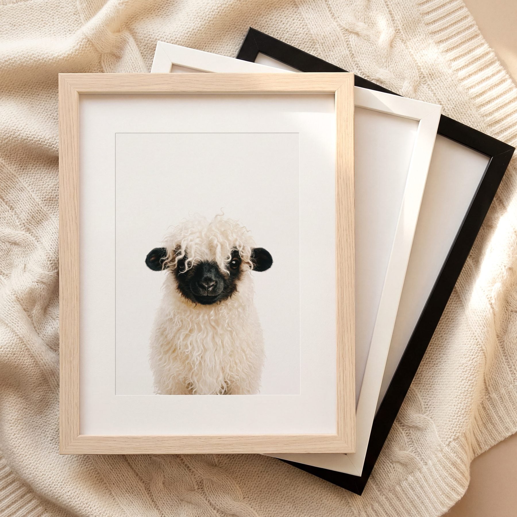 The Baby Animals 2026 Collection
