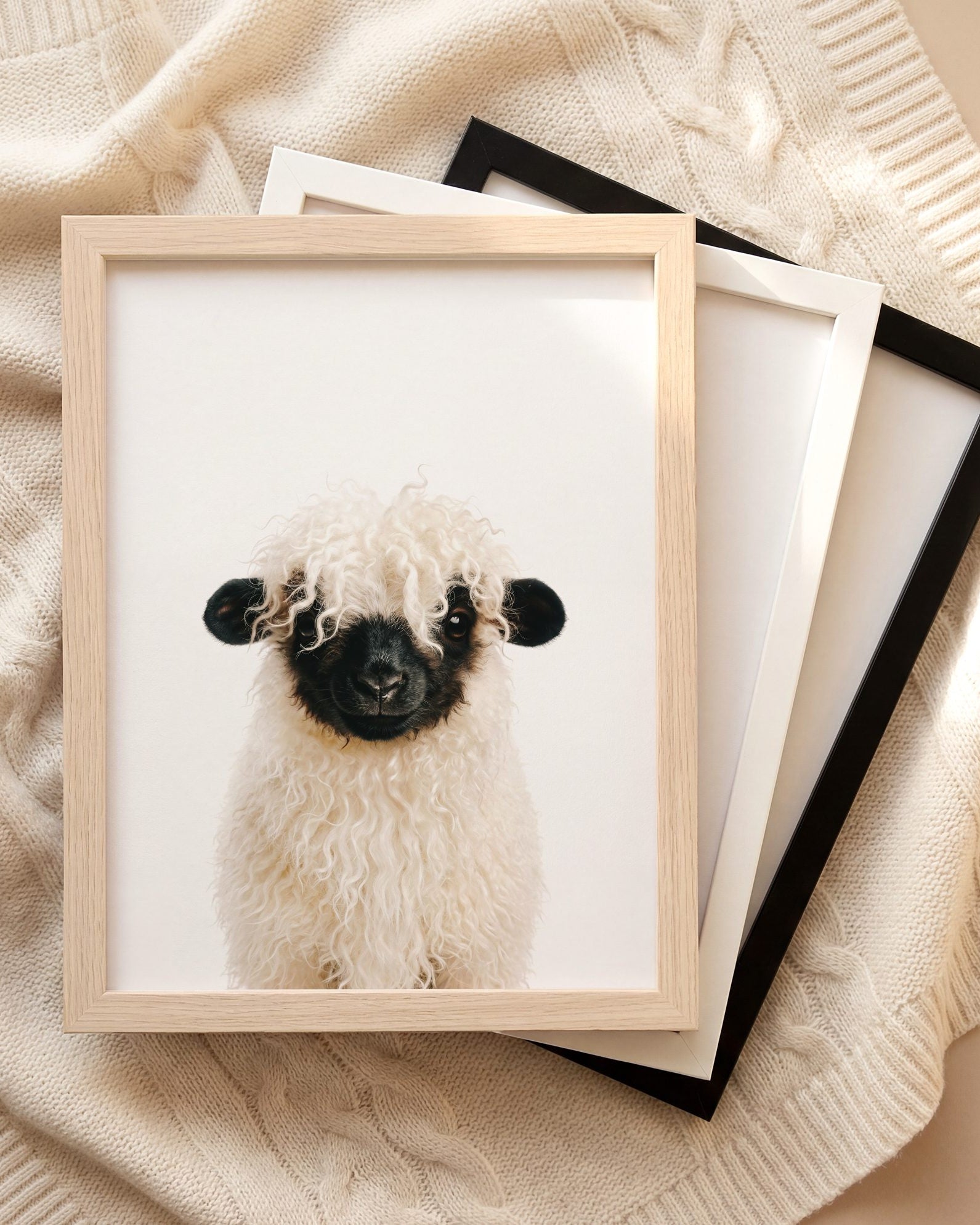 The Baby Animals 2026 Collection