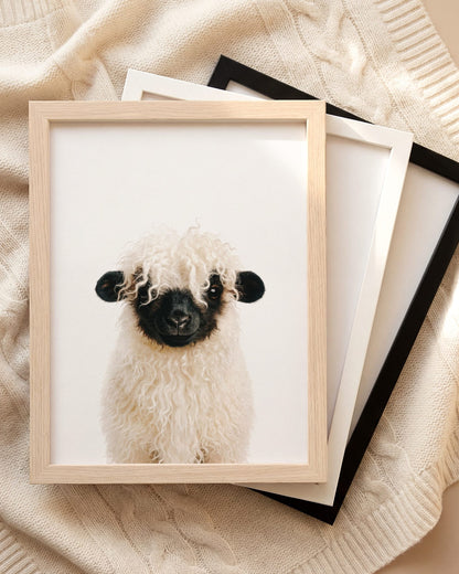 The Baby Animals 2026 Collection