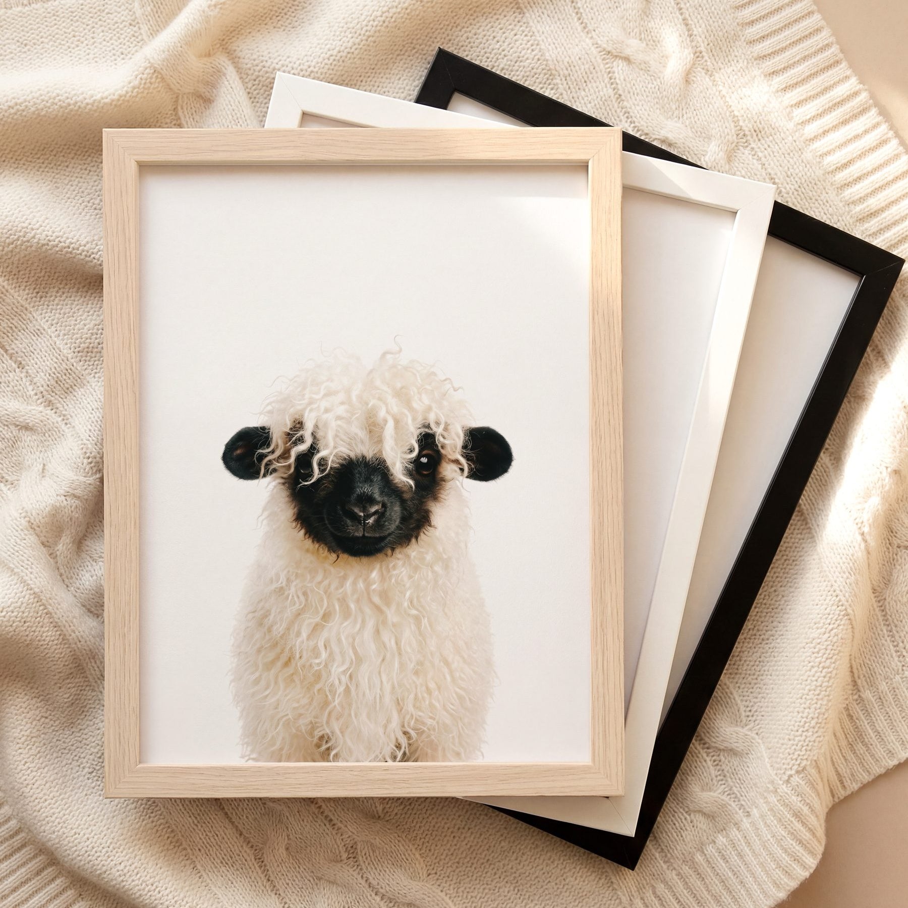 The Baby Animals 2026 Collection