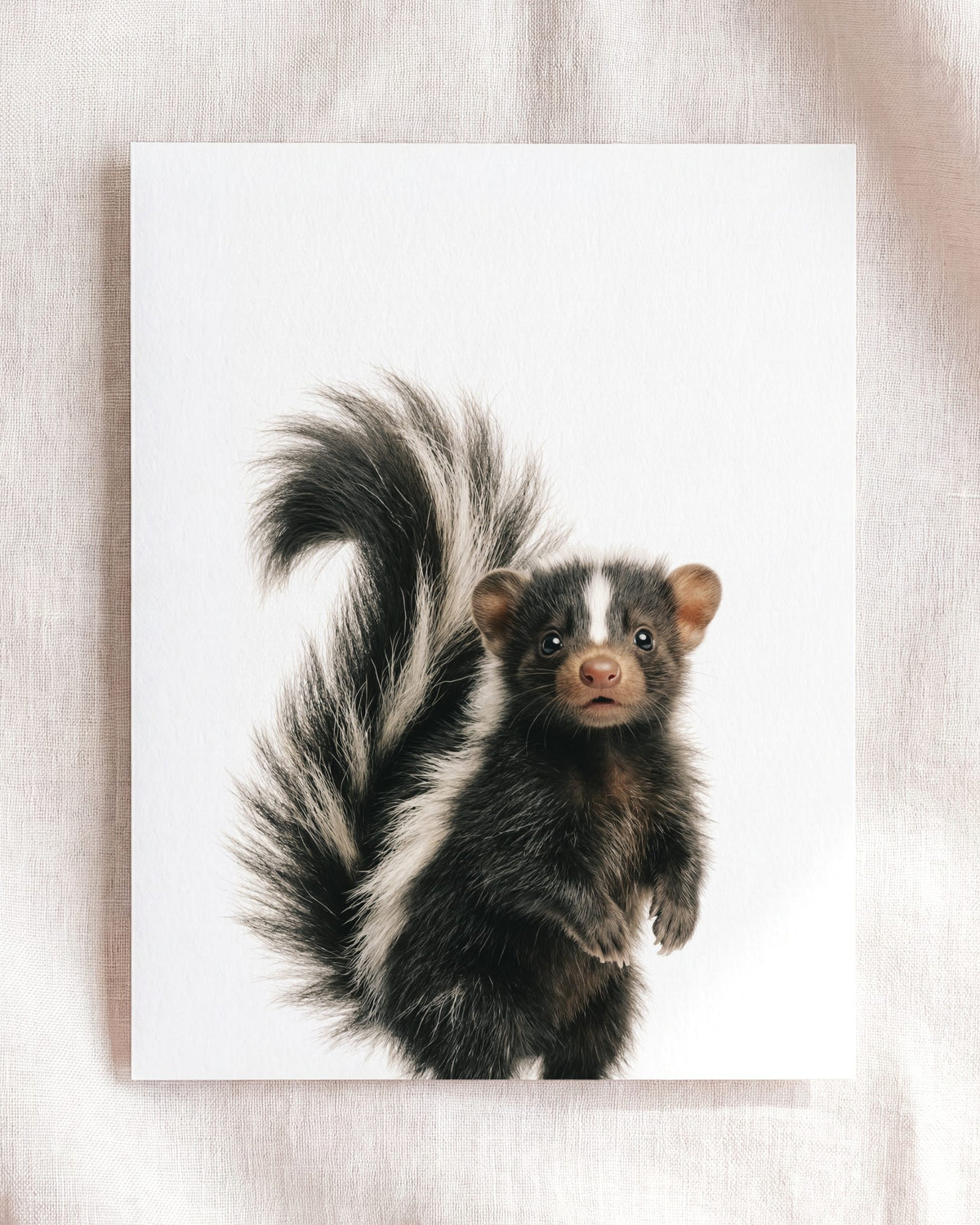 The Baby Animals 2026 Collection