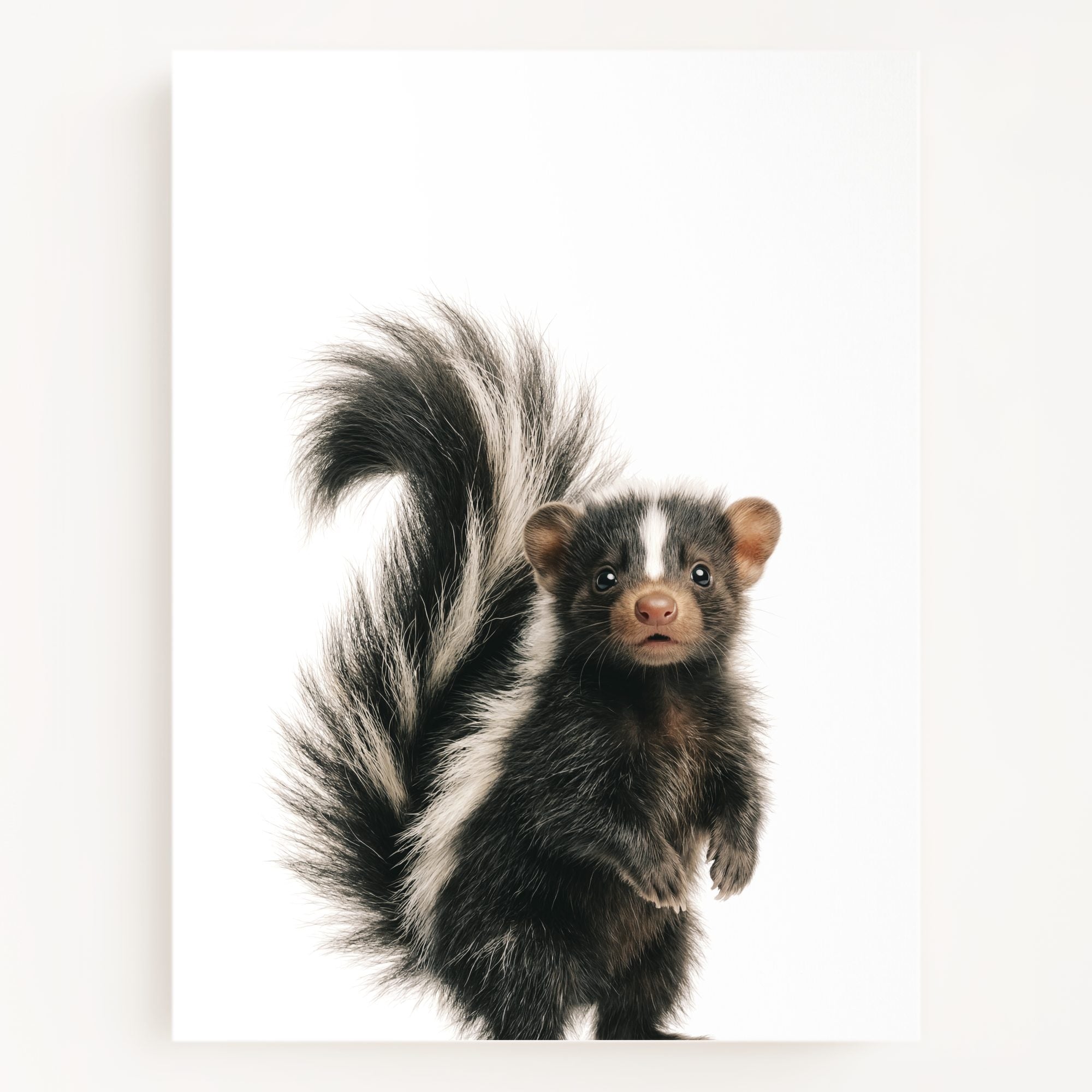 The Baby Animals 2026 Collection