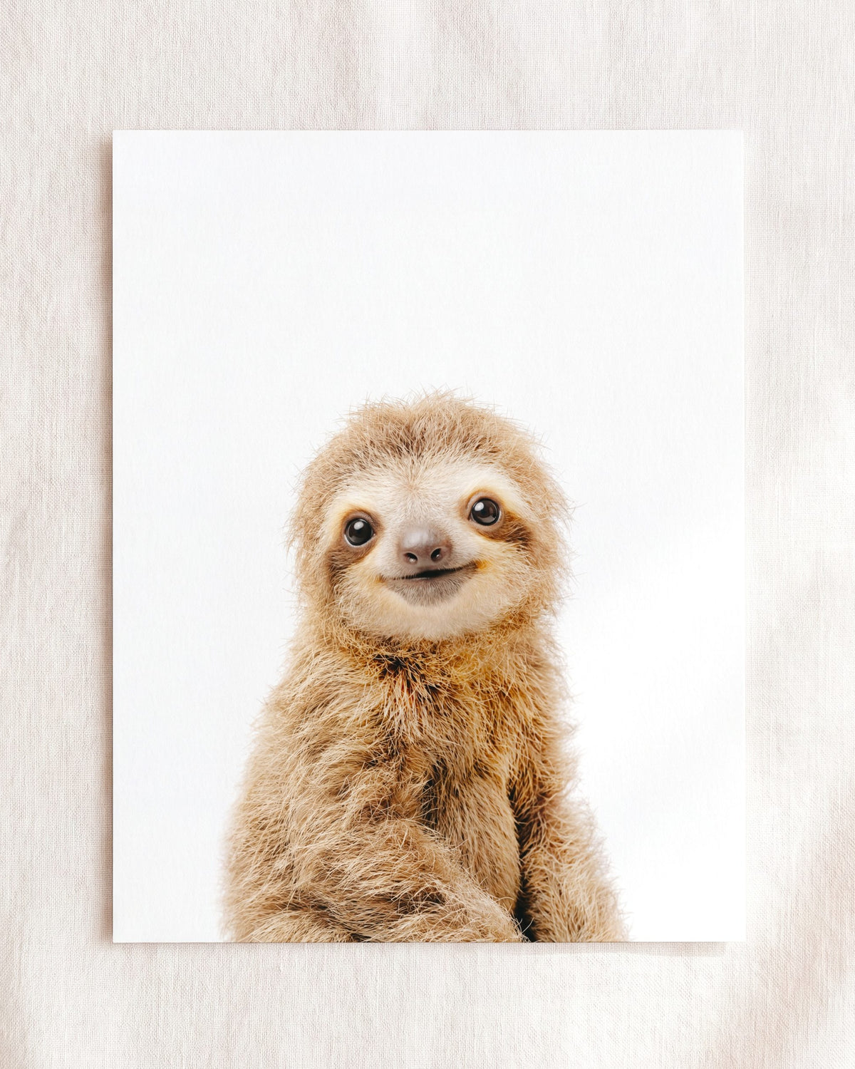 The Baby Animals 2026 Collection