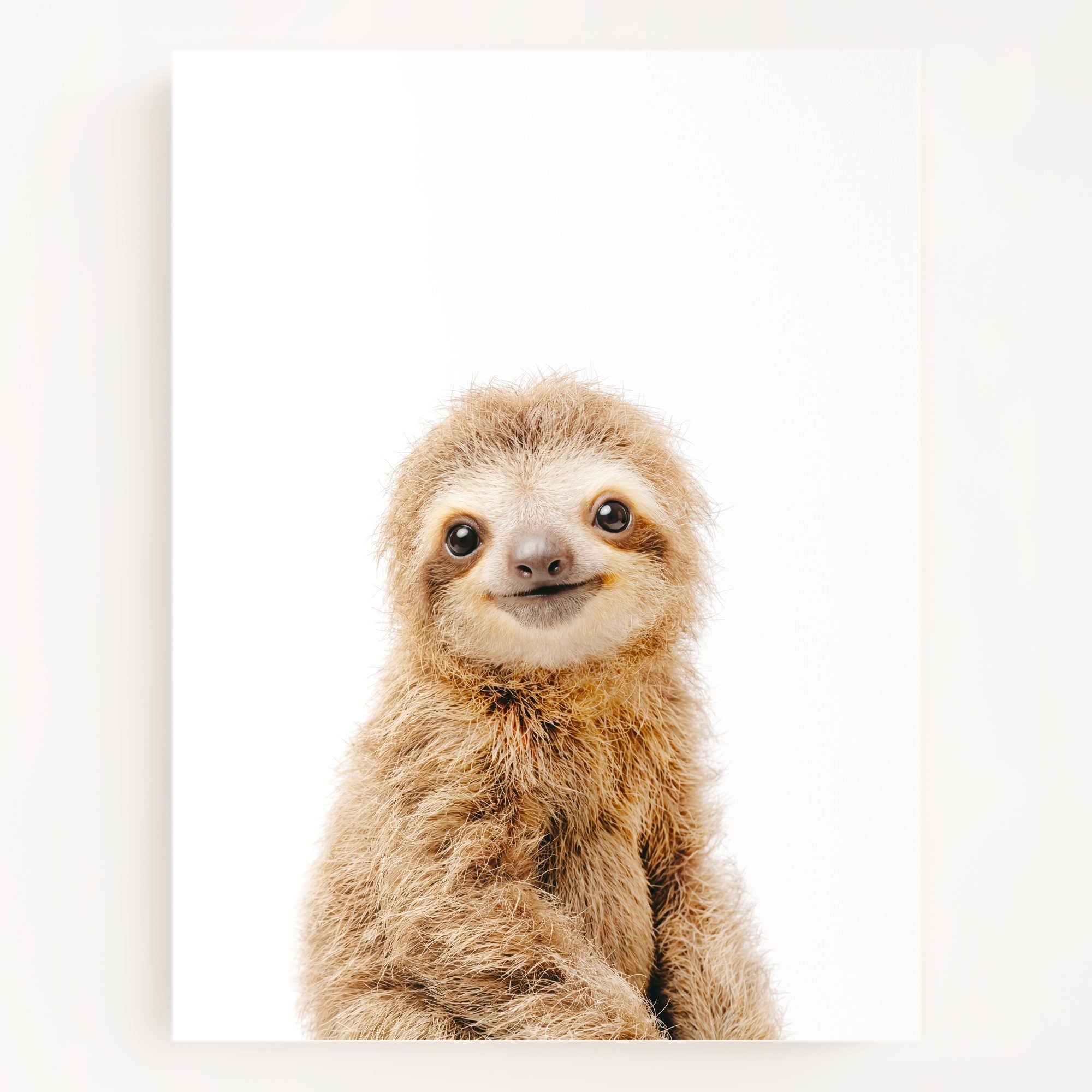 The Baby Animals 2026 Collection