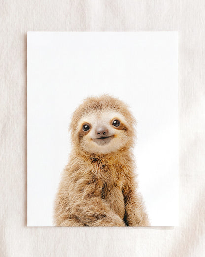 The Baby Animals 2026 Collection