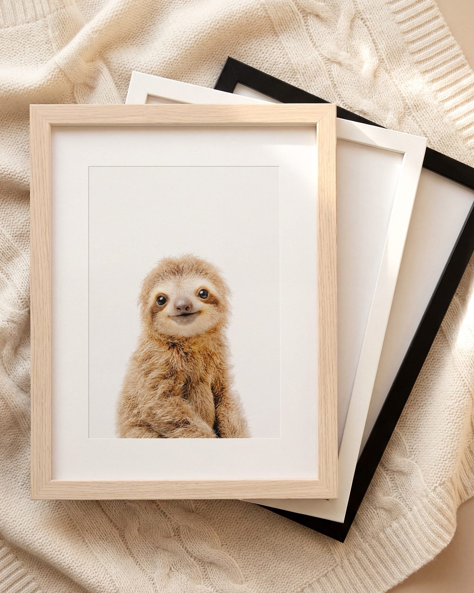 The Baby Animals 2026 Collection