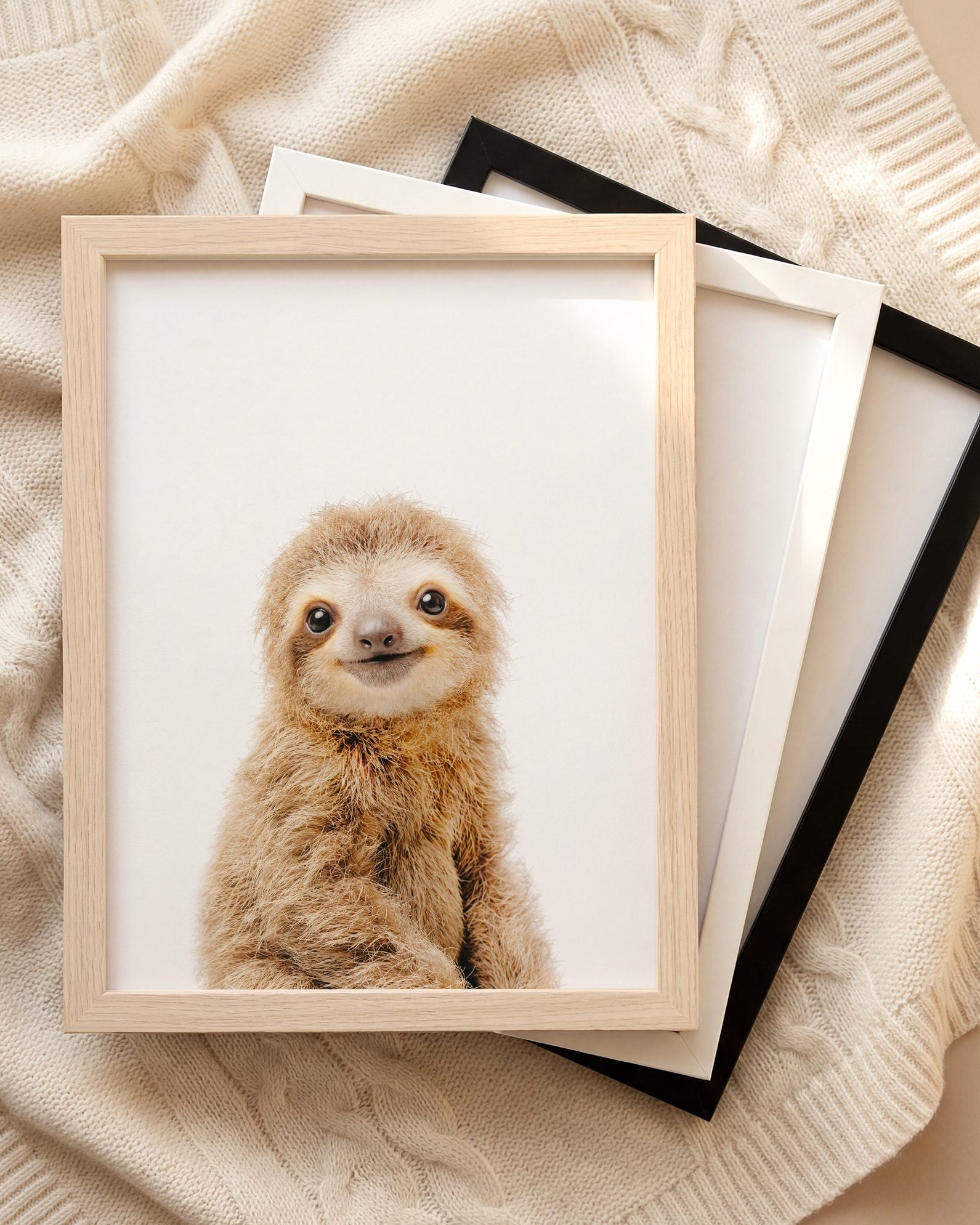 The Baby Animals 2026 Collection