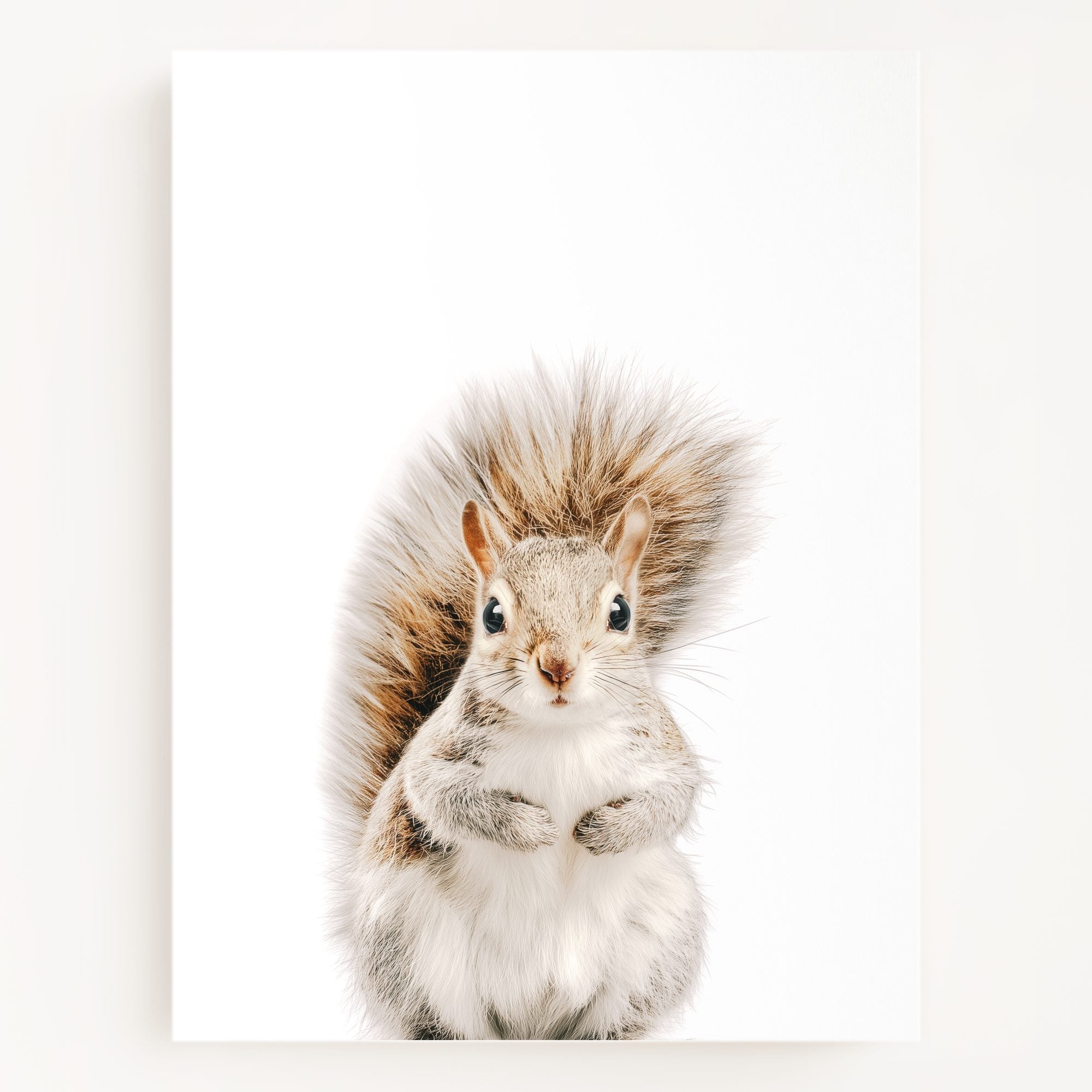 The Baby Animals 2026 Collection