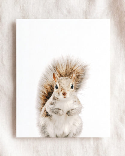The Baby Animals 2026 Collection