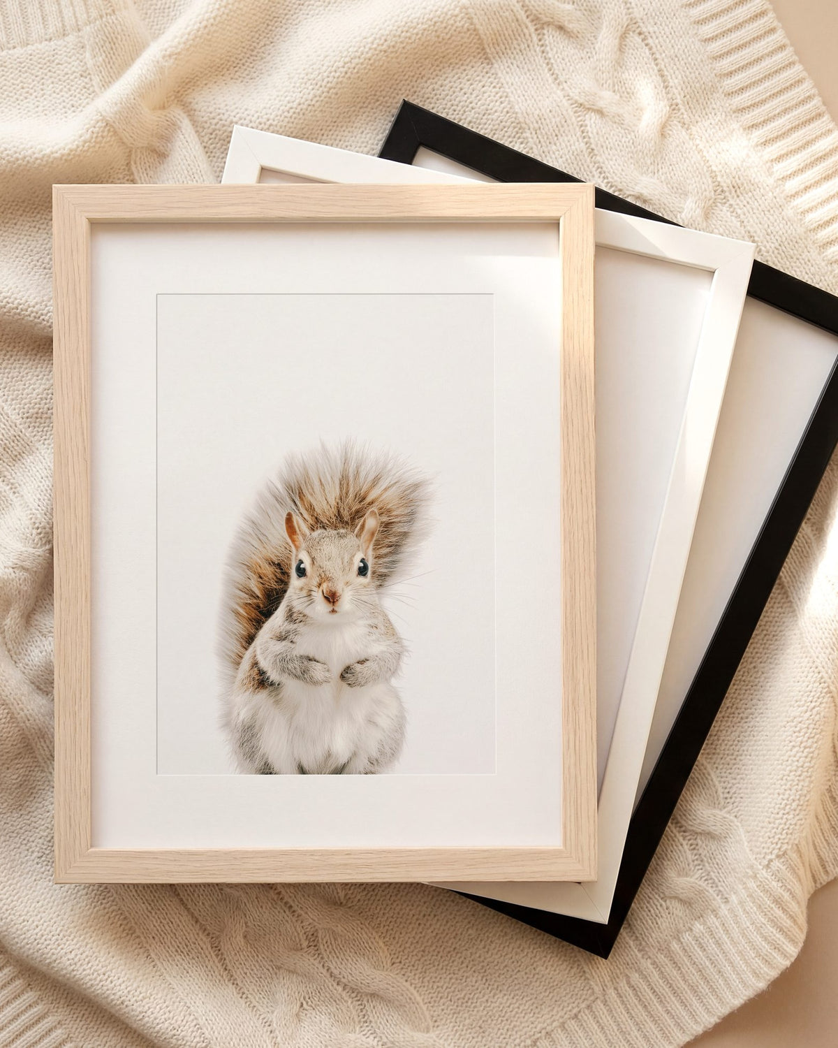 The Baby Animals 2026 Collection